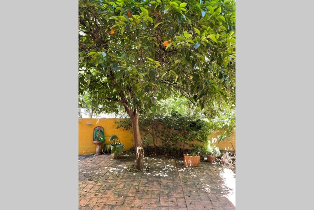 Studio Stay White Room Kalamata Dış mekan fotoğraf